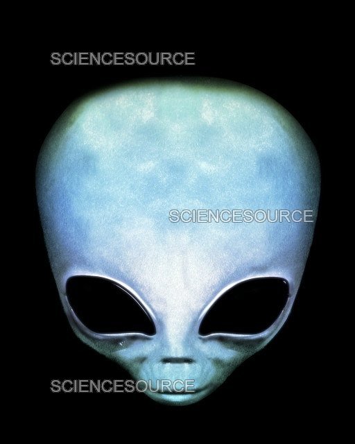 ALIEN HEAD