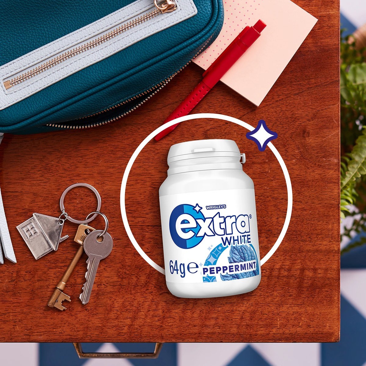 WRI EXTRA PEPPERMINT BOTTLE 64g