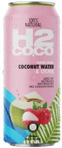 H2 COCO COCONUT WATER 500ml