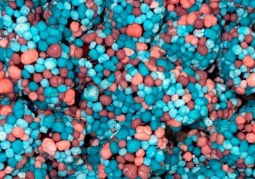 CRUNCHY MIXED BERRY GUMMY CLUSTER 1kg
