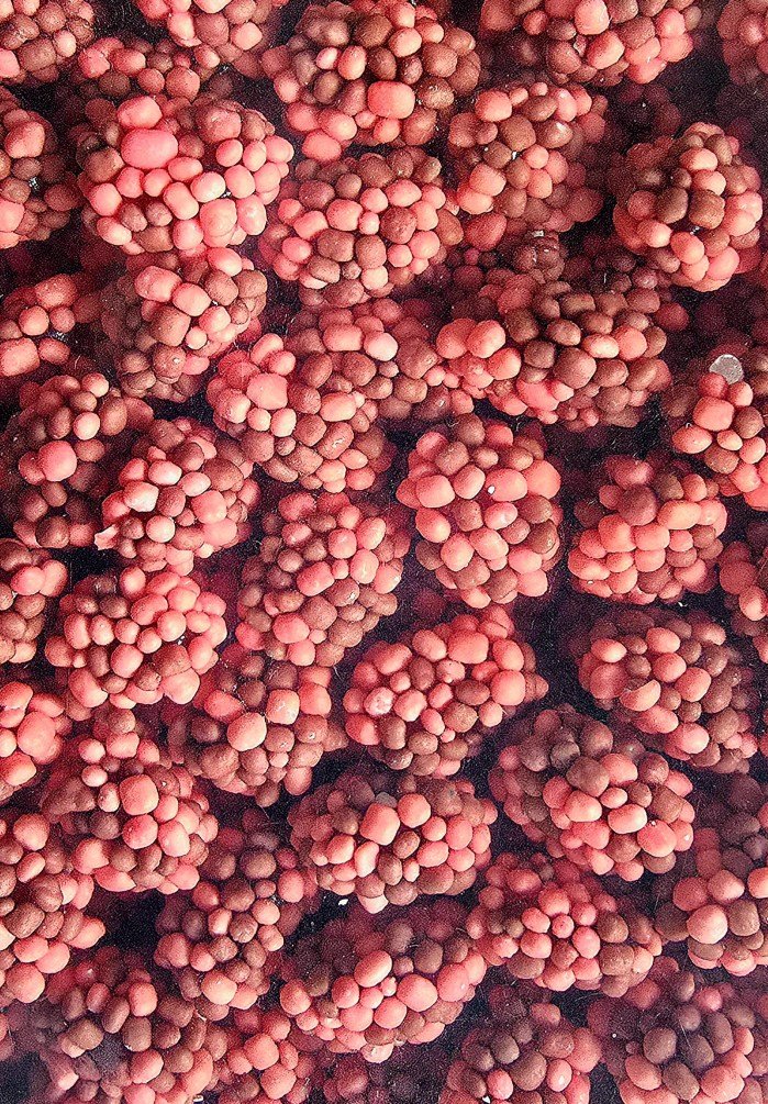 CRUNCHY STRAWBERRY GUMMY CLUSTER 1kg